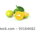Fresh organic Calamansi lime on white background. 93164082