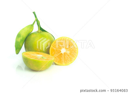 Fresh organic Calamansi lime on white background. Fresh organic Calamansi lime on white background. 93164083