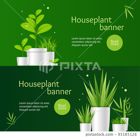 Realistic Detailed 3d Houseplant Banner Horizontal Set. Vector 93165128