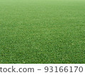 Lawn 93166170