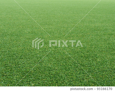 Lawn Lawn 93166170