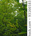 Green 93166583