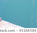 small fish 93166584