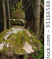 Moss 93166588