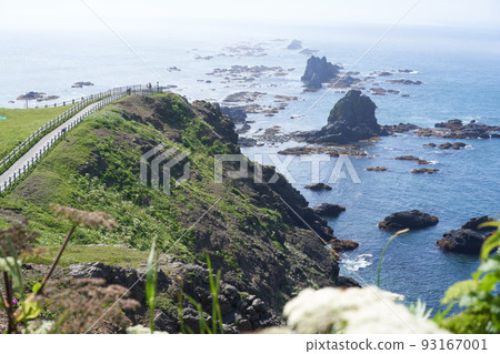 Cape Erimo in summer with white flowers and the blue sea 93167001