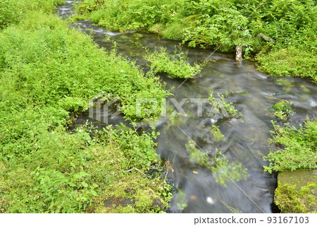 [Myoko Kogen, Niigata Prefecture] Near Shimizu of Utana in Sasagamine Kogen (clear stream) 93167103
