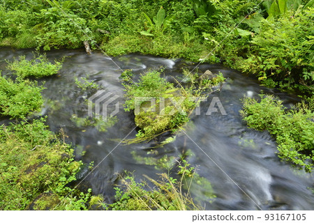 [Myoko Kogen, Niigata Prefecture] Near Shimizu of Utana in Sasagamine Kogen (clear stream) 93167105