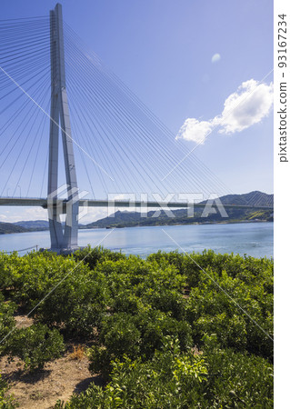 Shimanami Kaido Ikuchijima Setoda Town Lemon Field and Tatara Ohashi Bridge 93167234