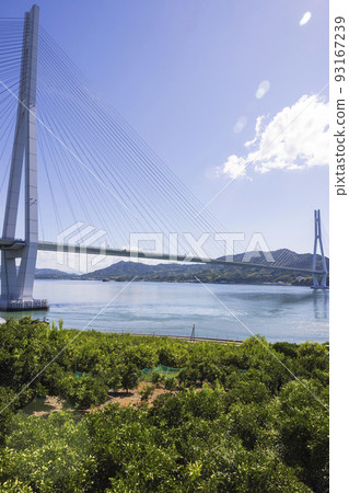 島波海道生口島瀨田町檸檬田和多多羅大橋 93167239
