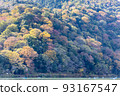 Arashiyama in autumn 93167547