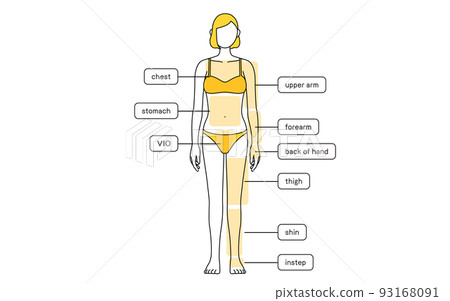Exnem Body Hair For G8 Female 2023 - Free Daz 3D Models