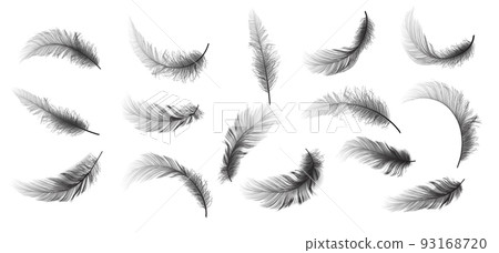 Big Set of Black Realistic Different Fluffy Twirled Falling Feathers Isolated on White Background. Design Template. Vector illustrtion Big Set of Black Realistic Different Fluffy Twirled Falling Feathers Isolated on White Background. Design Template. Vector illustrtion 93168720