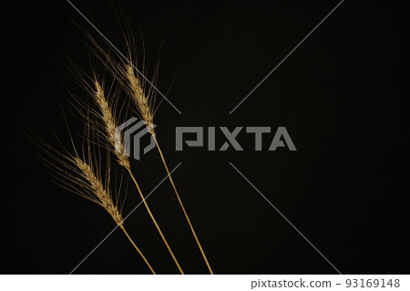 Bread, udon and wheat ears 93169148