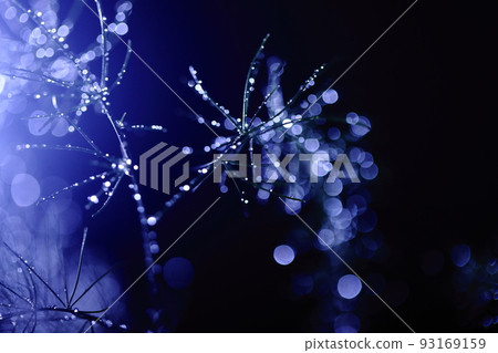 雨天微距攝影 水滴 93169159