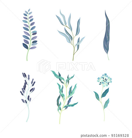 Blue Floral Twigs with Leaf and Floret on Curved Stem as Fresh Garden Botany Vector Set Blue Floral Twigs with Leaf and Floret on Curved Stem as Fresh Garden Botany Vector Set 93169328