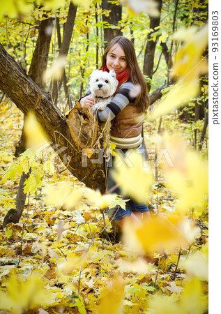 woman with terrier 93169803