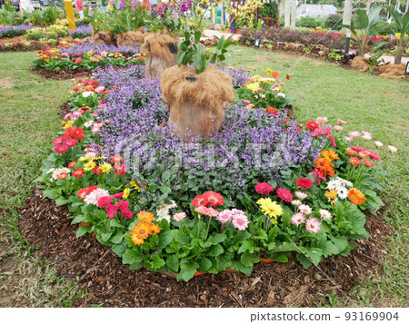 SELANGOR, MALAYSIA -JULY 2, 2022: Various species of tropical flowers are planted in a flower garden. The flowers are arranged and mixed according to the design and theme. SELANGOR, MALAYSIA -JULY 2, 2022: Various species of tropical flowers are planted in a flower garden. The flowers are arranged and mixed according to the design and theme. 93169904