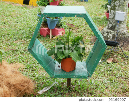 SELANGOR, MALAYSIA -JULY 2, 2022: Various species of tropical flowers are planted in a flower garden. The flowers are arranged and mixed according to the design and theme. SELANGOR, MALAYSIA -JULY 2, 2022: Various species of tropical flowers are planted in a flower garden. The flowers are arranged and mixed according to the design and theme. 93169907