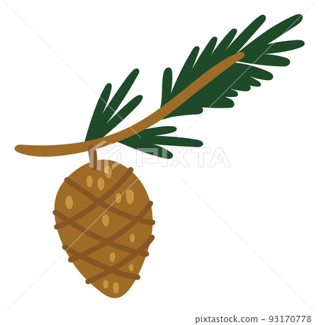 Fir twig with hanging cone. Winter nature symbol 93170778