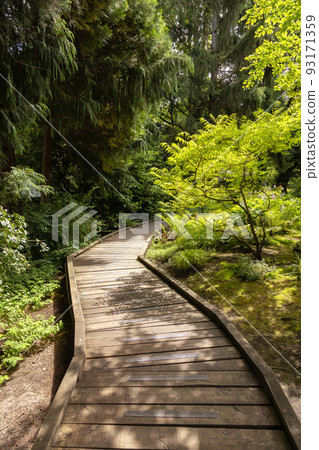 Sendall Gardens in a modern suburban city park. Summer season. 93171359