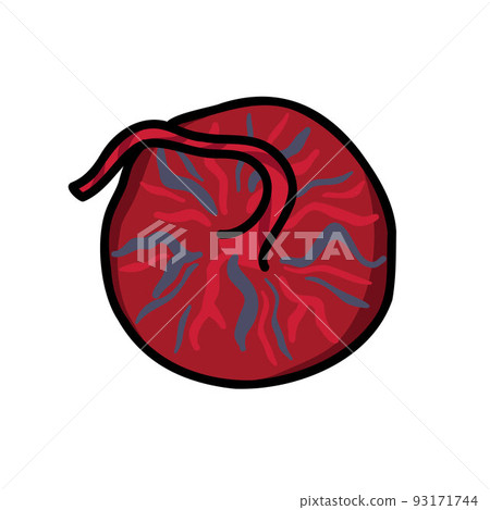 placenta doodle icon, vector color line illustration 93171744