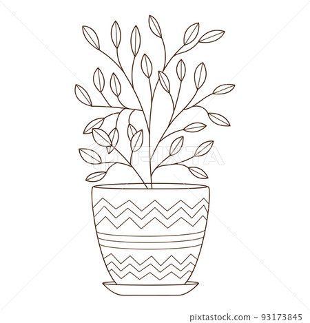 A houseplant in a pot with a pattern. Decorative design element with an outline. Doodle, hand-drawn. Black white vector illustration. Isolated on a white background A houseplant in a pot with a pattern. Decorative design element with an outline. Doodle, hand-drawn. Black white vector illustration. Isolated on a white background 93173845