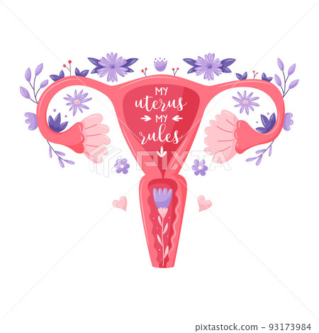 Feminist lettering quote. My uterus my rules. Uterus female reproductive sex organ with plants. Feminist typography. Women's right slogan. Concept of female rights to abortion. Vector illustration 93173984