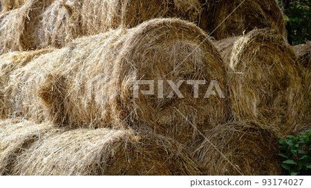 Hay in a bale in a sunny day. Food product for farm animals, farming concept 93174027