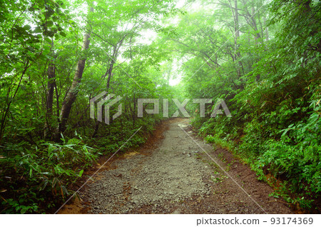 深林中的阿達達拉山山路 93174369