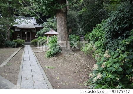 Hebibutsu Daimyojin Hebibutsu Daimyojin 93175747