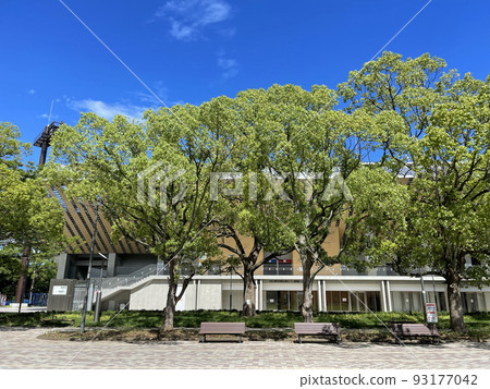 東京都品川區大井埠頭中央海濱公園運動森林八潮 東京都品川區大井埠頭中央海濱公園運動森林八潮 93177042