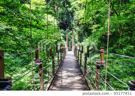 高尾四線(吊橋路線)宮橋 高尾四線(吊橋路線)宮橋 93177451