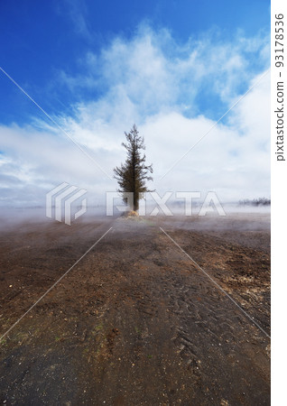 Shallow fog under the blue sky (eastern Hokkaido) 93178536