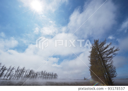 Shallow fog under the blue sky (eastern Hokkaido) 93178537