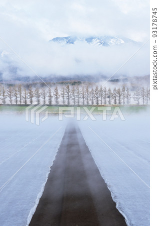 Ground fog in the Shiretoko region (Hokkaido) 93178745