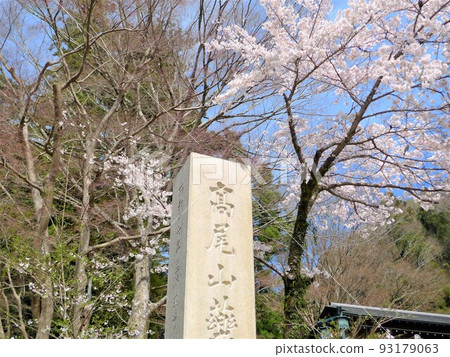 Takao Nature Early Spring Hiking Course 93179063