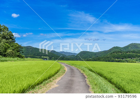 京都府，田園風光 93179596