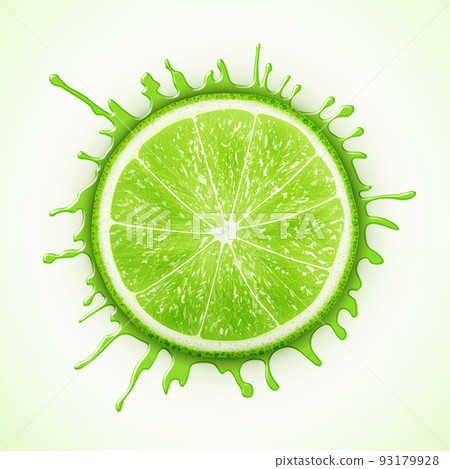 fresh lime with splash fresh lime with splash 93179928