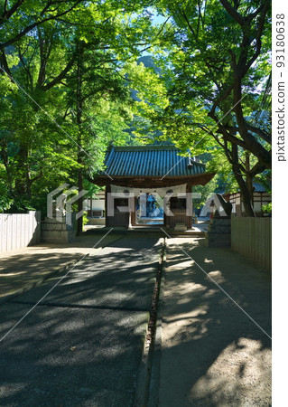 [Shikoku 88 Temples] No. 85 Yakuriji Temple Summer Morning Approach and Niomon 2 Takamatsu City, Kagawa Prefecture 93180638