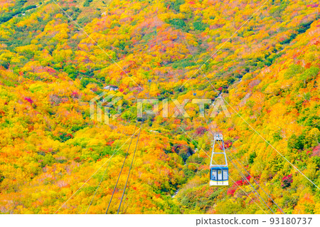 立山索道(秋季) 立山索道(秋季) 93180737