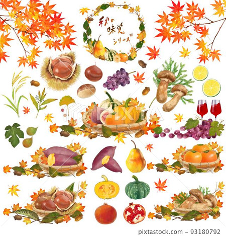 美味秋味系列水果、蔬菜和堅果、籃子和秋葉楓的插圖素材 93180792