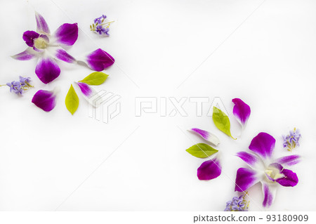 purple flowers orchids arrangement flat lay postcard style purple flowers orchids arrangement flat lay postcard style 93180909