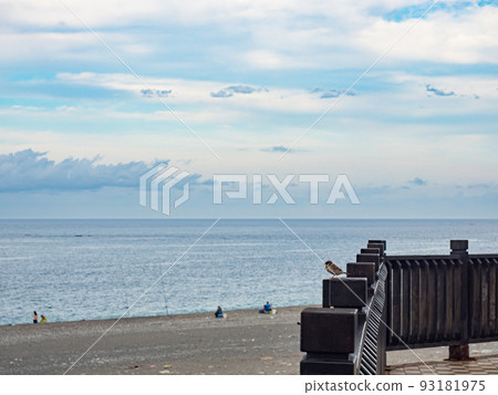 台灣花蓮七星潭風景區 93181975