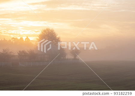 Dawn of the plateau (Hiruzen Plateau) 93182259