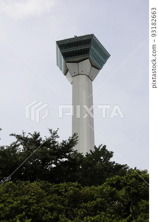 五棱郭塔 93182663