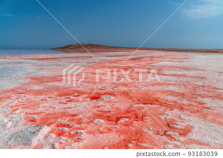 Brine and salt of a pink lake Koyash colored by microalgae Dunaliella salina, famous for its antioxidant properties, enriching water by beta-carotene, used in medicine and spa. cape Opuk, Kerch Crimea Brine and salt of a pink lake Koyash colored by microalgae Dunaliella salina, famous for its antioxidant properties, enriching water by beta-carotene, used in medicine and spa. cape Opuk, Kerch Crimea 93183039