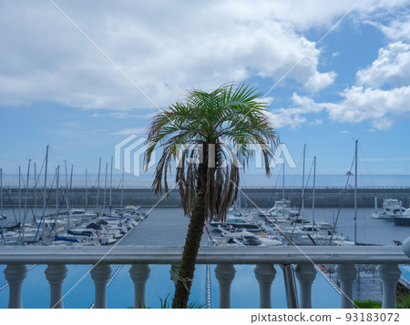 Roadside Station Ito Marine Town Sudden Rain Roadside Station Ito Marine Town Sudden Rain 93183072