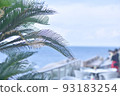 Tropical feeling 93183254