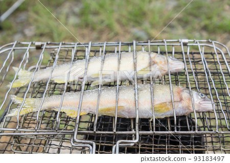 [Car camping on the riverbed of Nakatsu River, salt-grilled farmed sweetfish using embers] 93183497
