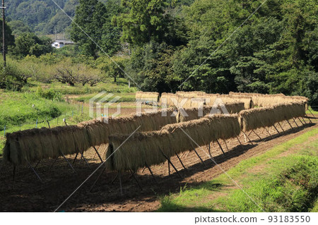 Scenery with a rice rack Hidaka City Scenery with a rice rack Hidaka City 93183550